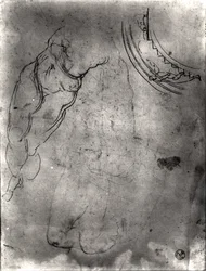 Study of a male nude
